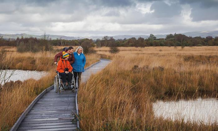 The accessible boardwalk